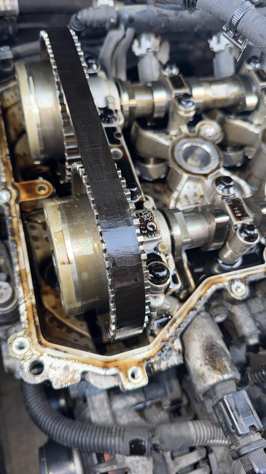 Timing belt and camshafts with cover removed